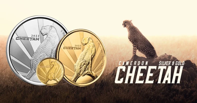 Komodo Dragon coin dealer banner